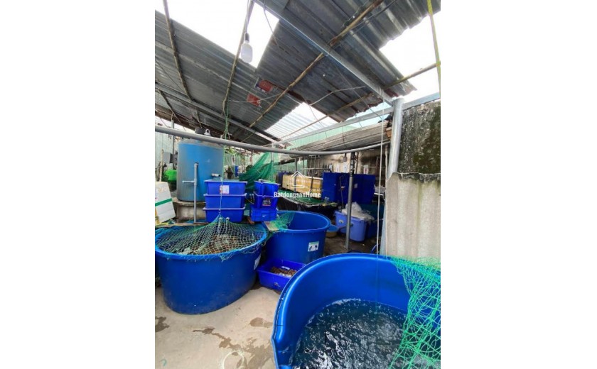 Nhà MT giá trong hẻm 261m², Nở hậu, Đ.10m – An Phú Đông Q12